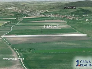 Prodej podílu pole, Javorník, 2058 m2