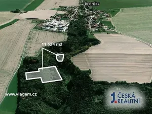 Prodej lesa, Řepníky, 7550 m2