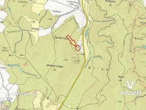 Prodej lesa, Černá Hora, 974 m2