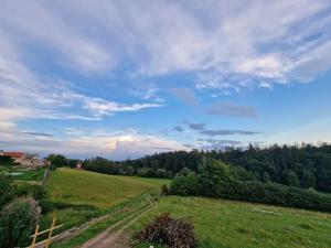 Prodej pozemku pro bydlení, Vyšehořovice, 919 m2