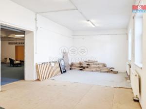 Pronájem obchodního prostoru, Ostrov, Krátká, 530 m2