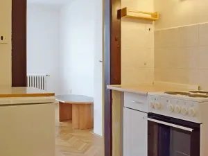 Pronájem bytu 1+kk, Praha - Vinohrady, Londýnská, 30 m2