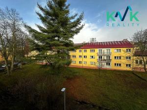 Prodej bytu 3+1, Ostrov, Lipová, 79 m2