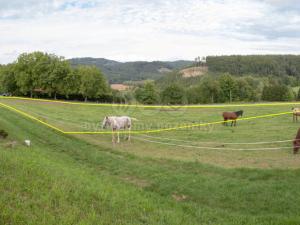 Prodej pozemku pro bydlení, Hrádek, 2416 m2