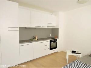 Pronájem bytu 1+kk, Brno, Mlýnská, 32 m2