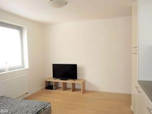 Pronájem bytu 1+kk, Brno, Mlýnská, 32 m2