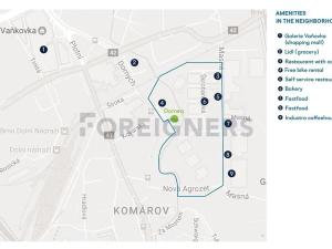 Pronájem bytu 1+kk, Brno, Dornych, 21 m2