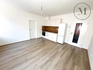 Pronájem bytu 2+kk, České Budějovice, Nová, 47 m2