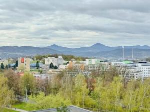 Pronájem bytu 1+kk, Ústí nad Labem, Větrná, 20 m2