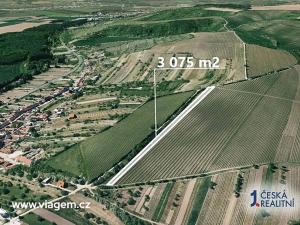 Prodej podílu pole, Nosislav, 768 m2