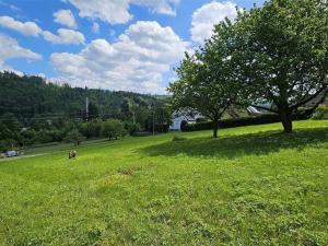 Prodej pozemku, Jablonec nad Jizerou, 1600 m2