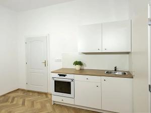 Pronájem bytu 1+1, České Budějovice, U Malše, 45 m2