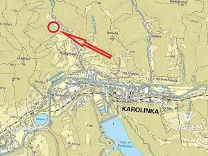 Prodej podílu lesa, Karolinka, 1127 m2