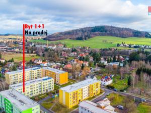 Prodej bytu 1+1, Jiříkov - Starý Jiříkov, Březinova, 39 m2