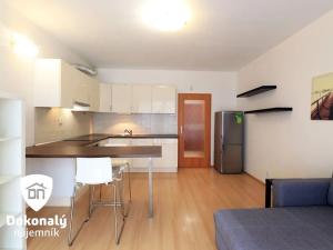 Pronájem bytu 1+kk, Praha - Záběhlice, Velenovského, 29 m2