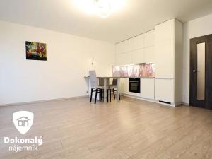 Pronájem bytu 1+kk, Praha - Dejvice, Lindleyova, 34 m2