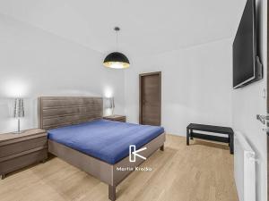 Pronájem bytu 2+kk, Praha - Žižkov, Olšanská, 58 m2