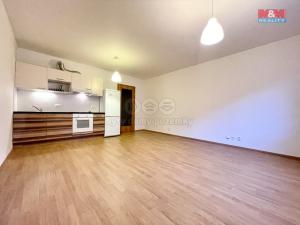 Pronájem bytu 1+kk, Praha, Hanusova, 38 m2