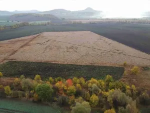 Dražba pozemku, Bečov, 41168 m2