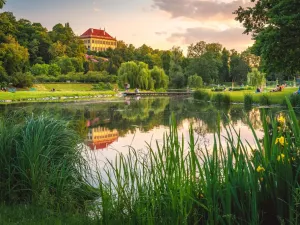 Prodej bytu 3+kk, Praha - Holešovice, Veverkova, 90 m2