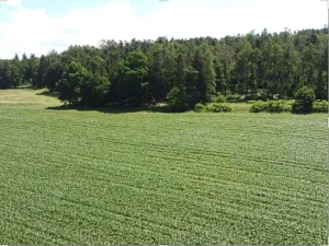 Dražba louky, Radomyšl, 16147 m2