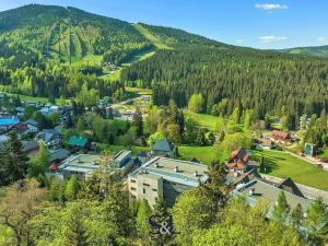 Prodej bytu 1+kk, Harrachov, 34 m2