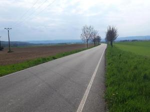 Prodej komerčního pozemku, Police, 3083 m2