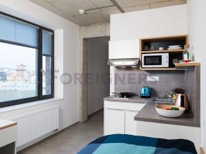 Pronájem bytu 1+kk, Brno, Dornych, 21 m2