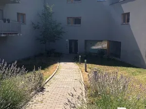 Pronájem bytu 2+kk, Brno, Pastviny, 42 m2