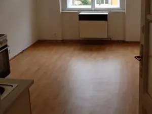 Prodej bytu 2+kk, Praha - Žižkov, Žerotínova, 45 m2