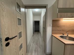 Pronájem bytu 2+kk, Milovice, Slepá, 31 m2