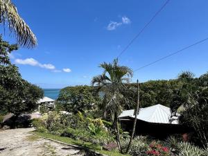 Prodej chaty, Punta Blanca, José Santos Guardiola, Honduras, 232 m2