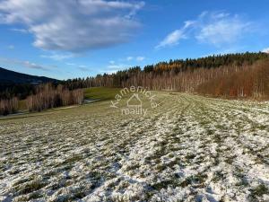 Prodej komerčního pozemku, Malšín, 113244 m2