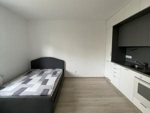 Pronájem bytu 1+kk, Plzeň - Severní Předměstí, Na Chmelnicích, 30 m2