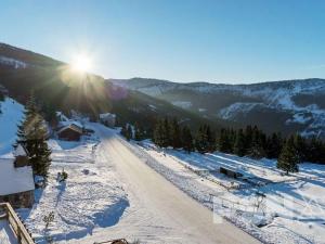 Prodej bytu 4+kk, Zlaté Hory, Na Okálech, 138 m2