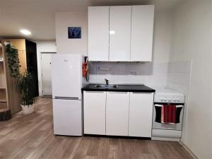 Pronájem bytu 1+kk, Litoměřice, Revoluční, 41 m2