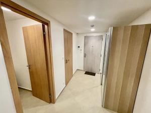 Pronájem bytu 2+kk, Praha - Žižkov, Basilejské náměstí, 61 m2