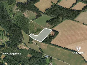 Prodej podílu lesa, Jestřabí v Krkonoších, 790 m2