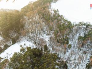 Prodej lesa, Mírová pod Kozákovem - Sekerkovy Loučky, 845 m2