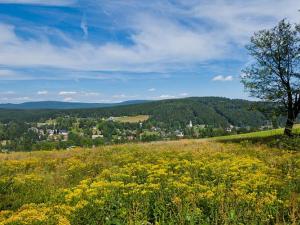 Prodej bytu 2+kk, Bedřichov, 57 m2