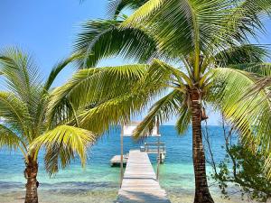 Prodej rodinného domu, Camp Bay, José Santos Guardiola, Honduras, 511 m2