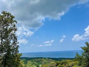 Prodej pozemku, Roatan, José Santos Guardiola, Honduras, 740 m2