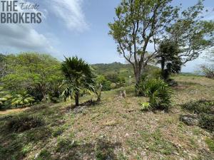 Prodej pozemku, Jonesville, José Santos Guardiola, Honduras, 1594 m2