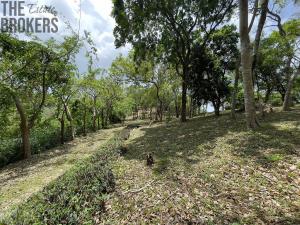 Prodej pozemku, Jonesville, José Santos Guardiola, Honduras, 2400 m2