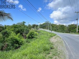 Prodej pozemku, Punta Gorda, José Santos Guardiola, Honduras, 716 m2