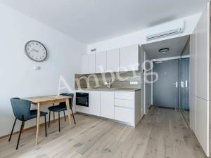 Pronájem bytu 1+kk, Praha - Karlín, Sokolovská, 28 m2