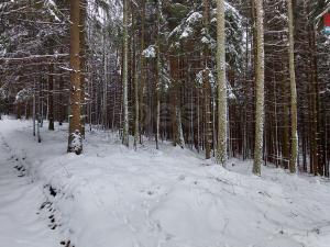 Prodej lesa, Česká Třebová - Svinná, 60981 m2