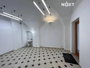 Pronájem obchodního prostoru, České Budějovice, Česká, 22 m2