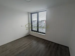 Pronájem bytu 2+kk, Hodonín, 55 m2