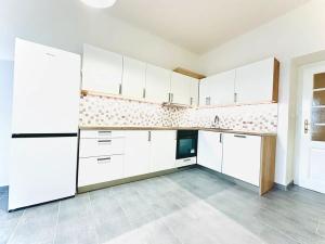 Pronájem bytu 3+kk, Praha - Žižkov, Fibichova, 90 m2